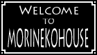 Welcome to MorinekoHouse